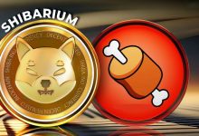 پیش‌بینی صعود قیمت توکن BONE با پشتیبانی از صرافی شیباسواپ در چند بلاکچین!