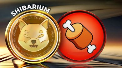 پیش‌بینی صعود قیمت توکن BONE با پشتیبانی از صرافی شیباسواپ در چند بلاکچین!