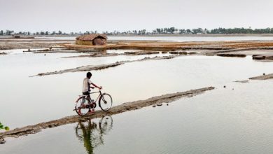 گزارش سازمان ملل: قاره آسیا در 2023 بیشترین آسیب را از تغییرات اقلیمی دیده است