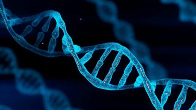 یک برادر و خواهر با جهش ژنتیکی خاص خود می‌توانند به توسعه داروی دیابت نوع 1 کمک کنند