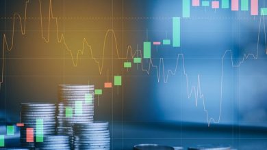 ۴ دلیل برای تأخیر در صعود آلت‌کوین‌ها؛ آلت‌سیزن ۲۰۲۴ چه زمانی شروع می‌شود؟