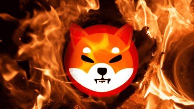 آماده‌باش برای جهش قیمت شیبا؛ ۲۰۰ میلیون SHIB دیگر در آتش سوخت!