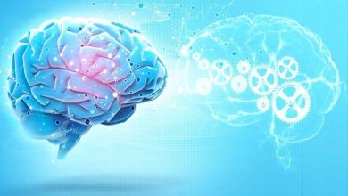 آژانس بریتانیا ابزارهایی را برای بررسی ایمنی مدلهای هوش مصنوعی منتشر کرد