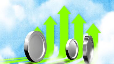 افزایش بی‌سابقه تعداد توکن‌های جدید؛ کارشناسان درباره میم‌کوین‌ها هشدار می‌دهند!