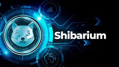 افزایش چشمگیر تعداد کاربران جدید شیباریوم! منتظر افزایش قیمت SHIB باشیم؟
