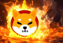 افزایش ۵۸۰ درصدی نرخ شیباسوزی؛ روند قیمت SHIB بهبود می‌یابد؟