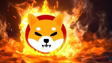 افزایش ۵۸۰ درصدی نرخ شیباسوزی؛ روند قیمت SHIB بهبود مییابد؟