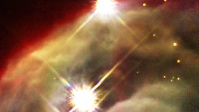 امروز در فضا: اولین تصویر طیف‌نگار مادون قرمز نیکموس پس از سه سال