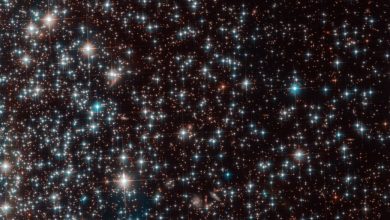 امروز در فضا: تعیین سن ستارگان در خوشه کروی NGC 6752