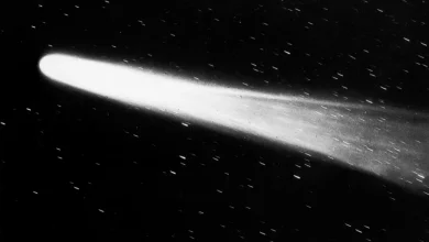 امروز در فضا: عبور دنباله‌دار هالی از کنار زمین