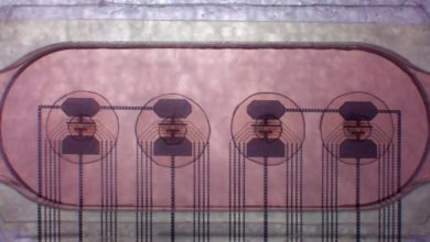 اولین زیست‌پردازنده جهان با بافت مغز انسان ساخته شد؛ میلیون‌ها برابر کم‌مصرف‌تر