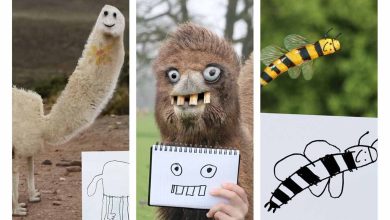 اگر نقاشی‌های کودکان واقعی بودند