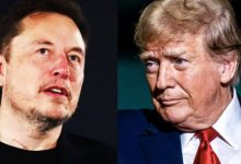 ایلان ماسک ادعاهای مربوط به دریافت سمت مشاور کاخ سفید توسط ترامپ را رد کرد