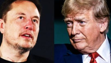 ایلان ماسک ادعاهای مربوط به دریافت سمت مشاور کاخ سفید توسط ترامپ را رد کرد