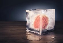 این بافت مغز انسان پس از ۱۸ ماه انجماد و سپس احیا، بدون نقص کار میکند