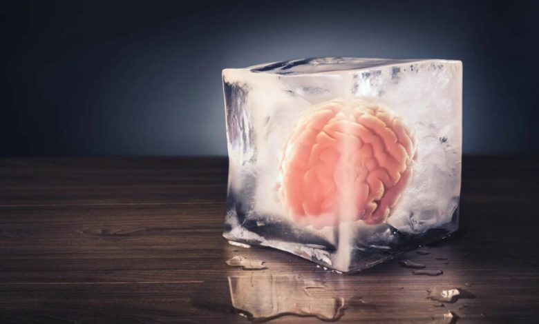 این بافت مغز انسان پس از ۱۸ ماه انجماد و سپس احیا، بدون نقص کار می‌کند