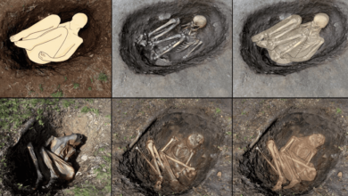 با قدیمی‌ترین مومیایی کشف‌شده در تاریخ آشنا شوید