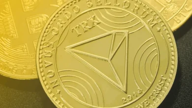 بررسی سرمایه‌گذاری در ترون و پیش‌بینی تغییرات در روند TRX با نیپوتو