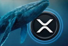 بیتوجهی سرمایهگذاران به دعوای حقوقی ریپل؛ نهنگها همچنان میلیونی XRP میخرند!