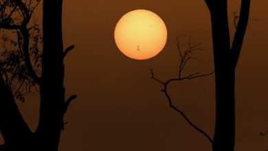 تصویر روز ناسا: AR 3664 در غروب خورشید