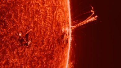 تصویر روز ناسا: AR 3664 در لبه خورشید