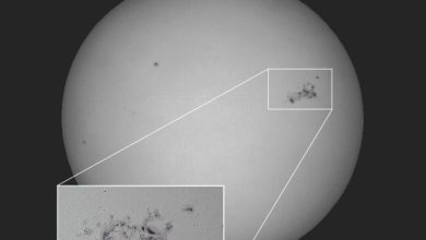 تصویر روز ناسا: AR 3664، گروه لکه‌های غول‌پیکر