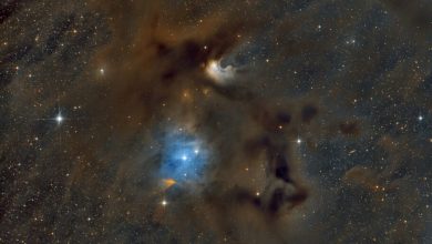 تصویر روز ناسا: ابر مولکولی آفتاب‌پرست