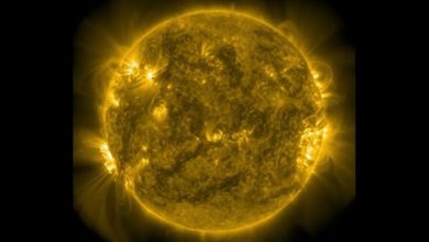 تصویر روز ناسا: بازگشت منطقه فعال خورشیدی معروف