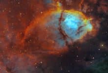 تصویر روز ناسا: سحابی سر ماهی