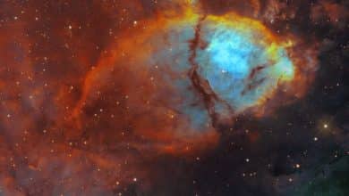 تصویر روز ناسا: سحابی سر ماهی