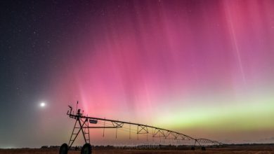 تصویر روز ناسا: شفق قطبی در جورجیا