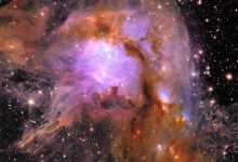 تصویر روز ناسا: M78 از تلسکوپ فضایی اقلیدس