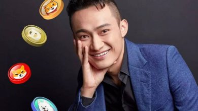 تعریف و تمجید جاستین سان از میم‌کوین‌ها: غیر‌متعارف، اما حاوی پیامی مهم!