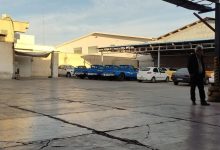 تولید خودرو در فروردین 1403 کاهشی شد؛ بازار همچنان تشنه باقی ماند