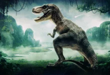 تی رکس احتمالا به اندازهها نخستیها باهوش نبود