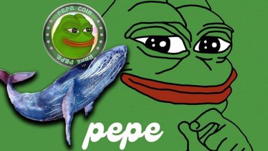 جامعه کریپتو در شوک: یک نهنگ پپه ۴۶ میلیون دلار سود به جیب زد!