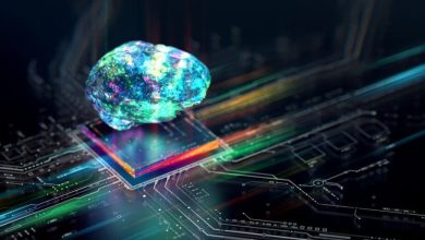 دانشمندان برای اولین‌بار مدل مینیاتوری مغز را با سد خونی خاص آن پرورش دادند