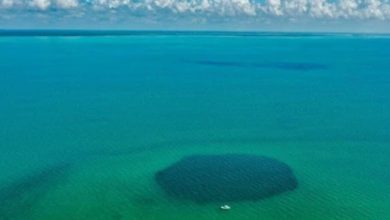 دانشمندان عمیق‌ترین گودال آبی جهان را در مکزیک کشف کردند