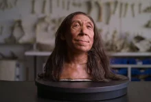 دانشمندان چهره زن نئاندرتال کشف‌شده در غاری در کردستان عراق را بازسازی کردند