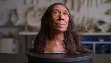 دانشمندان چهره زن نئاندرتال کشف‌شده در غاری در کردستان عراق را بازسازی کردند