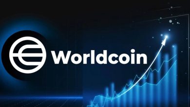 دهن‌کجی توکن‌های هوش مصنوعی به هشدارهای وارن بافت! علت رشد این بخش چیست؟