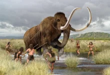 ساکنان اولیه آمریکا در چهار موج از سیبری مهاجرت کردند