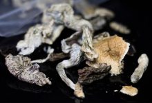 سیلوسایبین، ماده فعال قارچ جادویی که به کاهش افسردگی کمک می‌کند