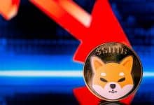 شبکه شیباریوم شاهد انفجار فعالیت است! پس چرا قیمت شیبا اینو افت میکند؟