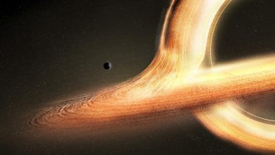 شبیه‌سازی ناسا از سقوط به سیاهچاله + ویدئو