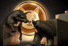 شیبا در دوراهی سقوط و صعود! آیا سطوح حمایتی مانع از ریزش بیشتر خواهند شد؟