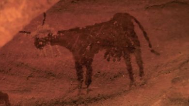 صحرای بزرگ آفریقا چهارهزار سال پیش چهره‌ای بسیار متفاوت داشت