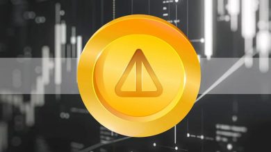 صعود ادامه‌دار نات‌کوین با وجود افت بازار؛ قیمت NOT از مرز ۰٫۰۱۲ دلار گذشت!