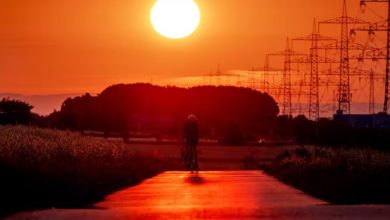 مطالعه جدید: تابستان 2023 گرم‌ترین در طی دو هزار سال گذشته بوده است