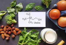 مطالعهای از یک ماده مغذی، مسیری را برای درمان اختلالات مغزی نشان میدهد!